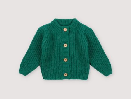 Baby Boys & Girls Green Wool Cardigan Sale