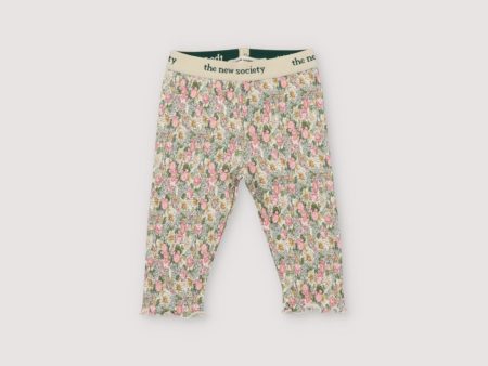 Baby Girls Multicolor Floral Cotton Leggings Fashion