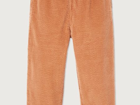 Boys & Girls Orange Corduroy Trousers Online Sale